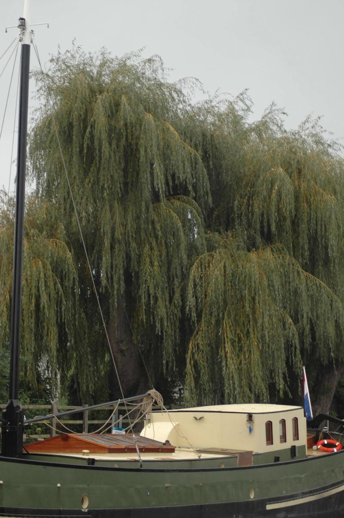 Hotel Barge Waternimf Ely Esterno foto